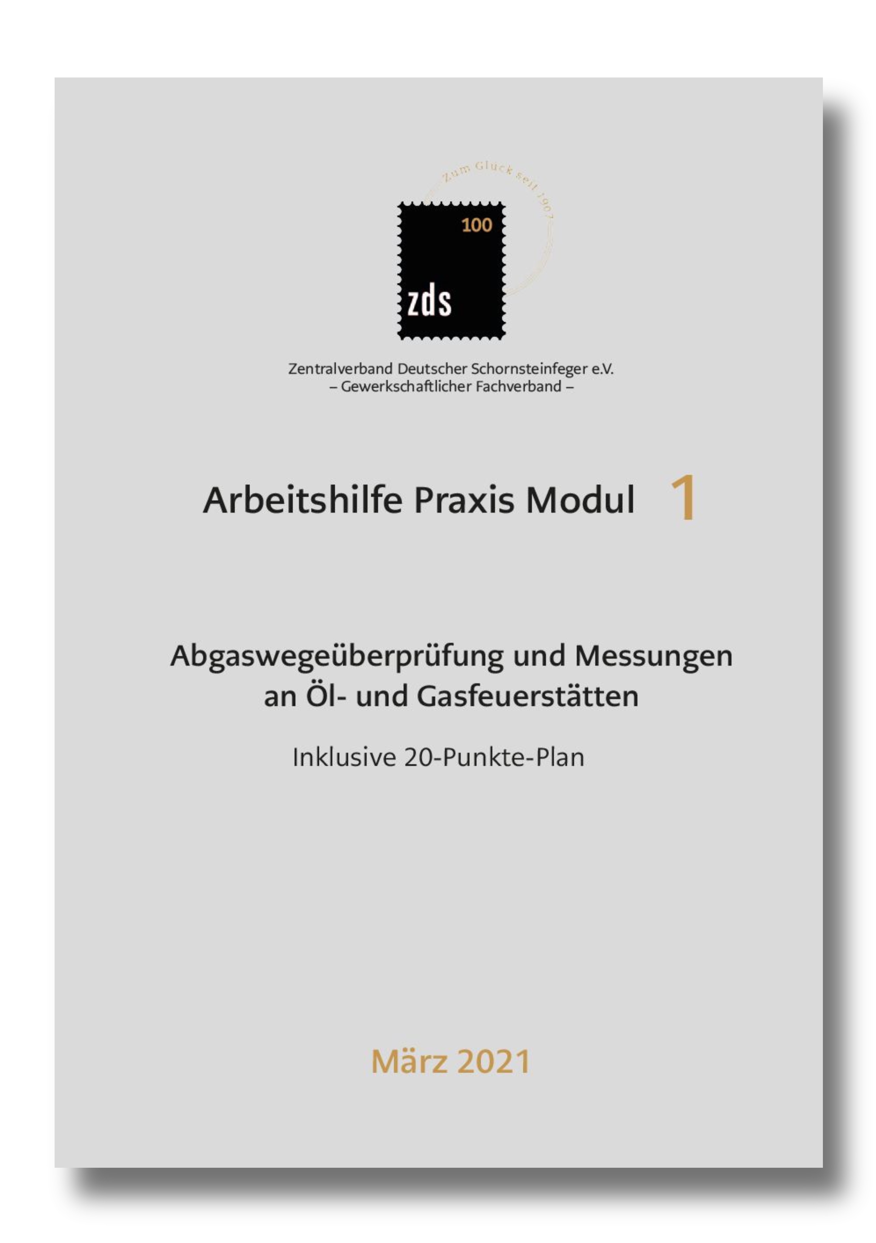 ZDS AH P Modul 1 – Abgaswegeüberprüfung und Messungen an Öl- und Gasfeuerstätten - Inklusive 20-Punkte-Plan